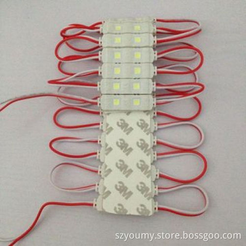 SMD 5050 LED Injection LED Module Light, 2 LED Waterproof IP67 Outdoor Cool White Warm White